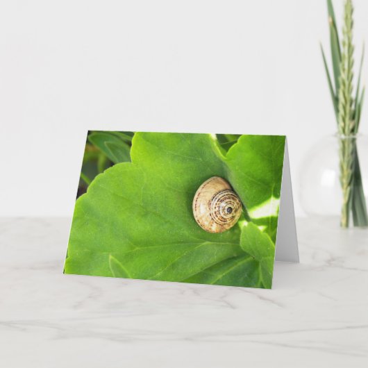 Slak Feestdagen Kaart (Voorkant)