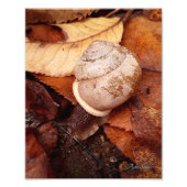 slak foto afdruk (Voorkant)