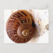 Slak het! briefkaart (Voorkant)