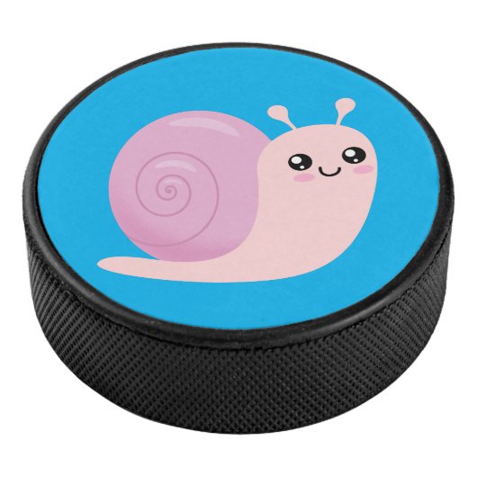 slak hockey puck (3/4)