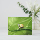 Slak in de regen briefkaart (Staand voorkant)