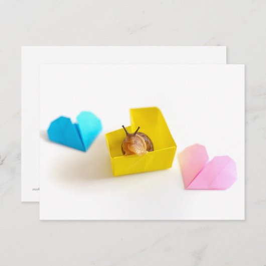 Slak in het hart briefkaart (Voorkant / Achterkant)