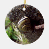 slak keramisch ornament (Voorkant)