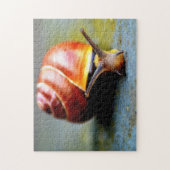 slak legpuzzel (Verticaal)