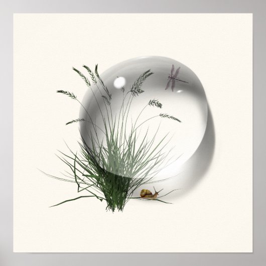 Slak Libelle Waterdruppel Abstract  Poster (Voorkant)