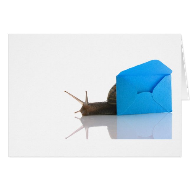 Slak Mail (Voorkant Horizontaal)