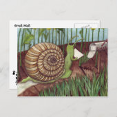 Slak Mail Briefkaart (Voorkant / Achterkant)