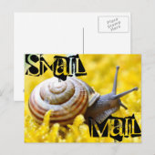 Slak Mail Briefkaart (Voorkant / Achterkant)