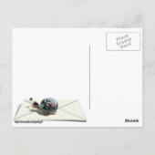 Slak Mail Briefkaart (Achterkant)