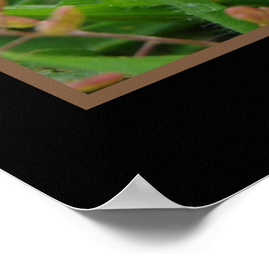 Slak met gele ventilator poster (Hoek)