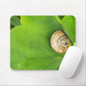 Slak Muismat (Met muis)