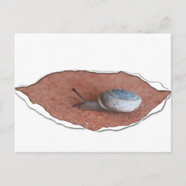 Slak onder gesmolten materiaal briefkaart