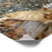 Slak op de vlucht poster (Hoek)