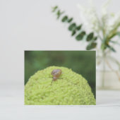 Slak op een hedgeappel #5 briefkaart (Staand voorkant)