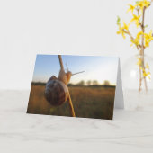 Slak op een stok kaart (Gele Bloem)