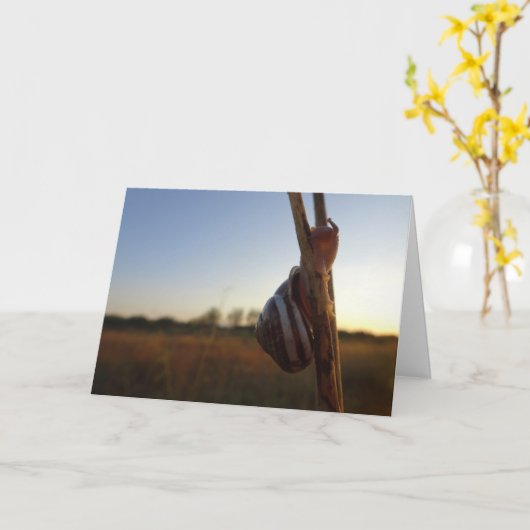 Slak op een stok kaart (Gele Bloem)