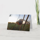 Slak op een stok kaart (Voorkant)