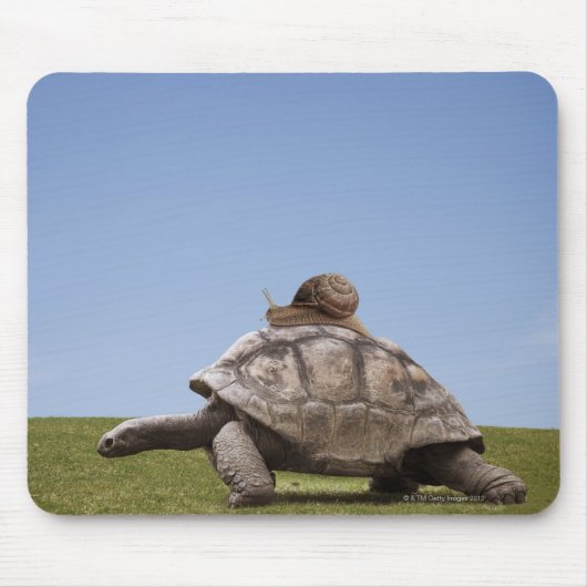 Slak over een schildpad muismat (Voorkant)