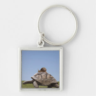 Slak over een schildpad sleutelhanger