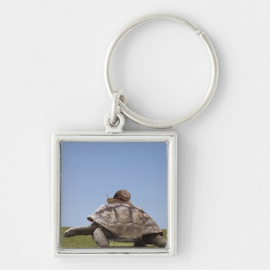 Slak over een schildpad sleutelhanger (Voorkant)