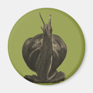 Slak Pastels Tekening Ronde Magnet