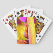 slak pokerkaarten (Achterkant)