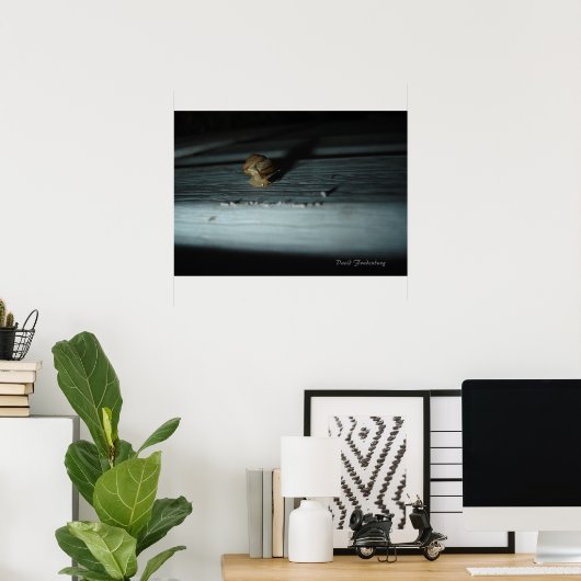 slak poster (Thuiskantoor)