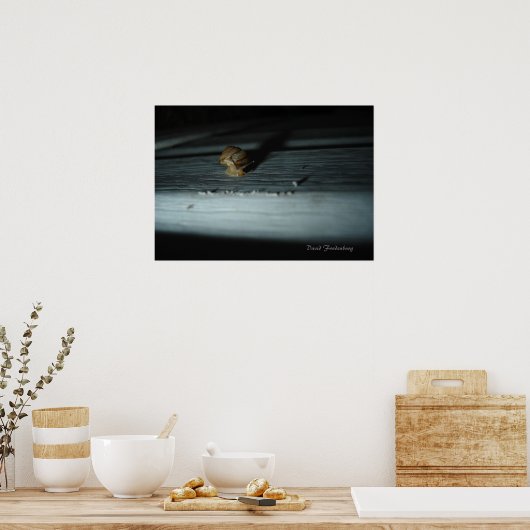 slak poster (Keuken)