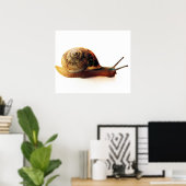 slak poster (Thuiskantoor)