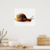 slak poster (Keuken)