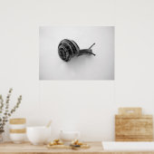 Slak Poster (Keuken)