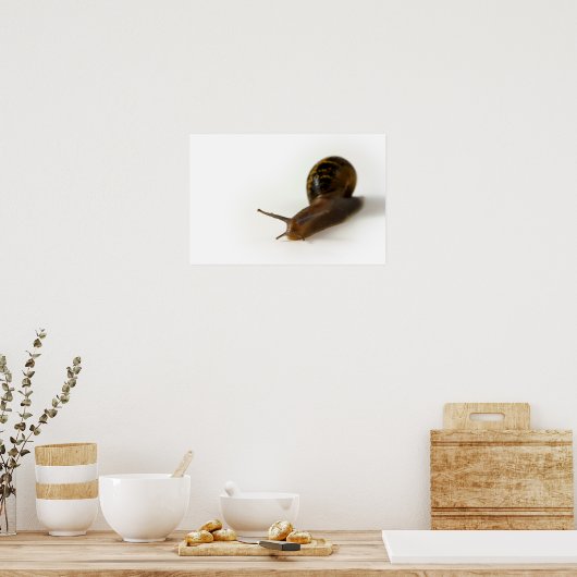 slak poster (Keuken)