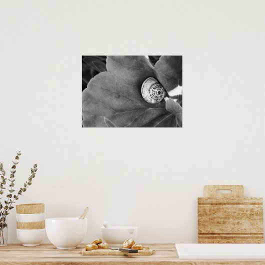 slak poster (Keuken)