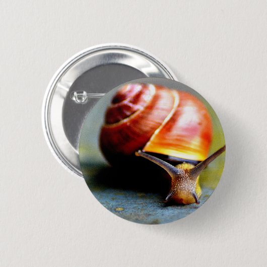 slak ronde button 5,7 cm (Voorkant /achterkant)