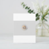 slak Schnecke Muschel Shell Briefkaart (Staand voorkant)