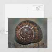 Slak Shell Briefkaart (Voorkant / Achterkant)