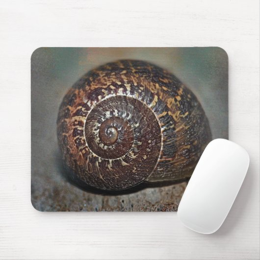 Slak Shell Muismat (Met muis)