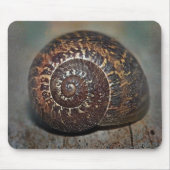 Slak Shell Muismat (Voorkant)
