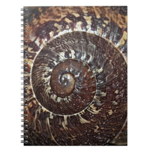 Slak Shell Notitieboek