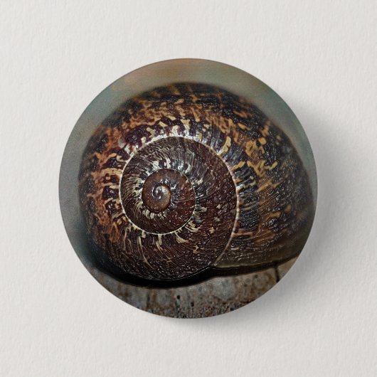 Slak Shell Ronde Button 5,7 Cm (Voorkant)