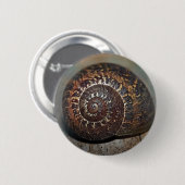 Slak Shell Ronde Button 5,7 Cm (Voorkant /achterkant)