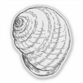 Slak Shell Sticker (Voorkant)