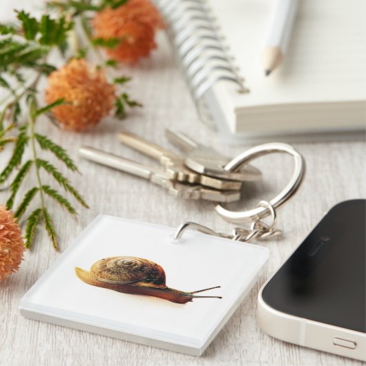 slak sleutelhanger (Voorkant Rechts)