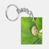 Slak Sleutelhanger (Voorkant Links)