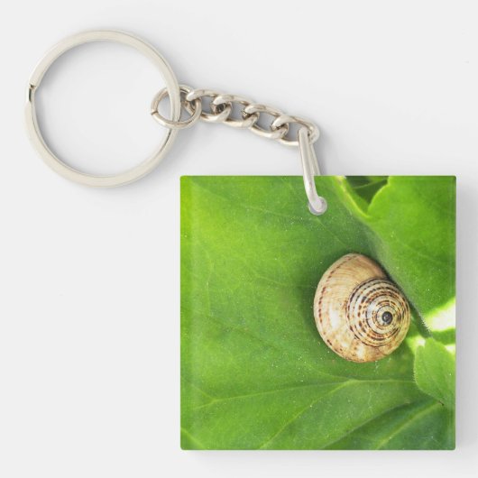 Slak Sleutelhanger (Voorkant)