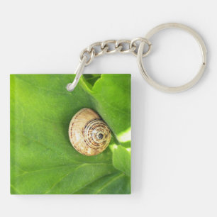 Slak Sleutelhanger