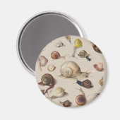 Slak Slug Garden Pet Gastro-pod Botanische slakken Magneet (Voorkant / Achterkant)