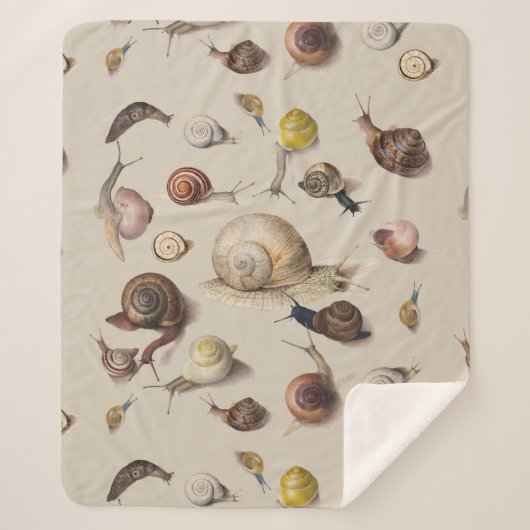 Slak Slug Garden Pet Gastro-pod Botanische slakken Sherpa Deken (Voorkant)