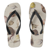 Slak Slug Garden Pet Gastro-pod Botanische slakken Teenslippers (Voetbed)