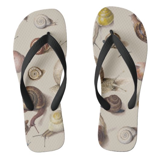 Slak Slug Garden Pet Gastro-pod Botanische slakken Teenslippers (Voetbed)